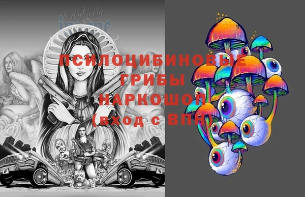 твердый Алексеевка